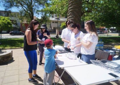 Campañas de Acción
