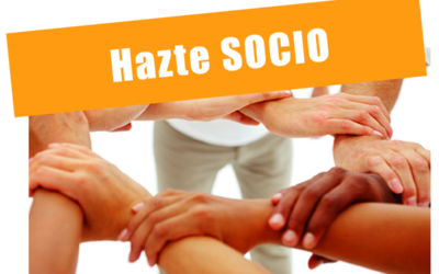 Socios FEN
